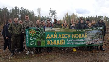 Planting a forest
