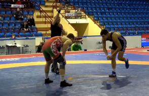  чемпионат Республики Беларусь по борьбе греко-римской, вольной и женской