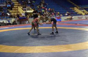  чемпионат Республики Беларусь по борьбе греко-римской, вольной и женской