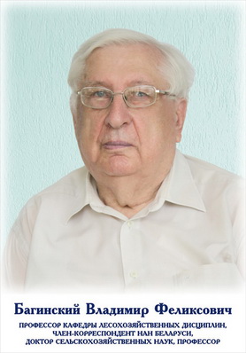 Багинский Владимир Феликсович