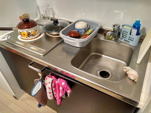 Барсуков Сергей в Японии